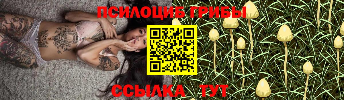 Избербаш  Псилоцибиновые грибы прущие грибы  Вход с VPN 
