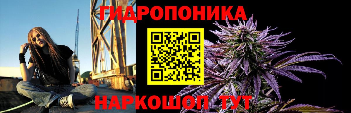 Бошки Шишки Amnesia Избербаш
